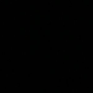 Meet your Posher, Willie